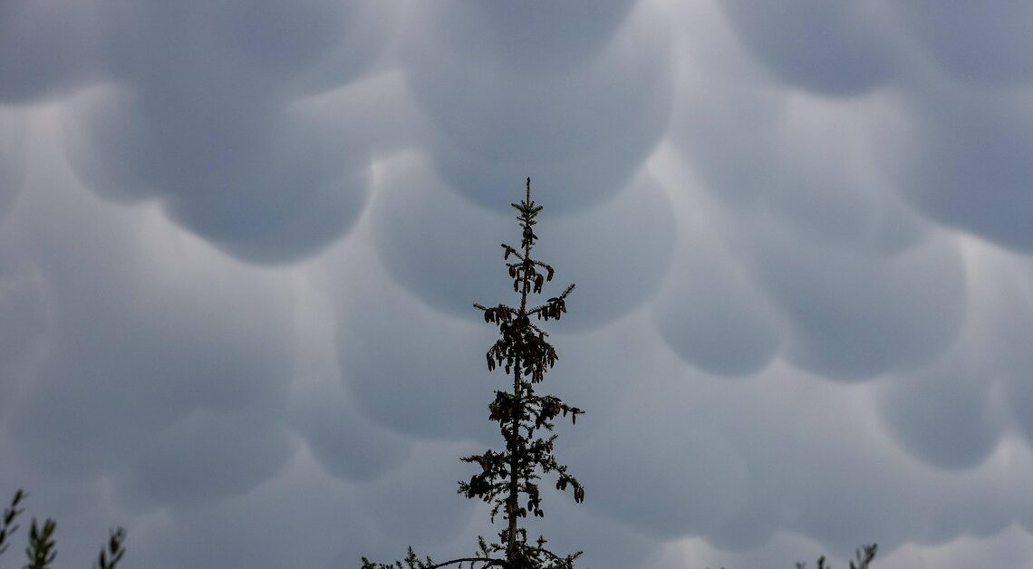 Mammatus clouds: formation and impact at a glance