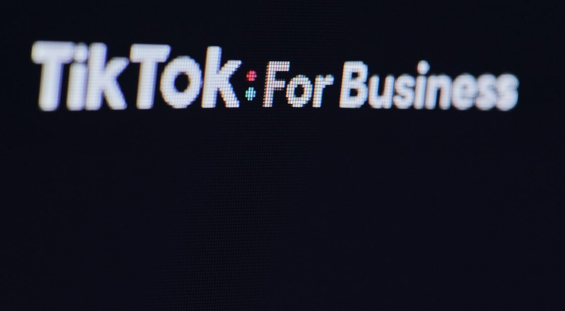 TikTok marketing for companies: This is the potential of the platform