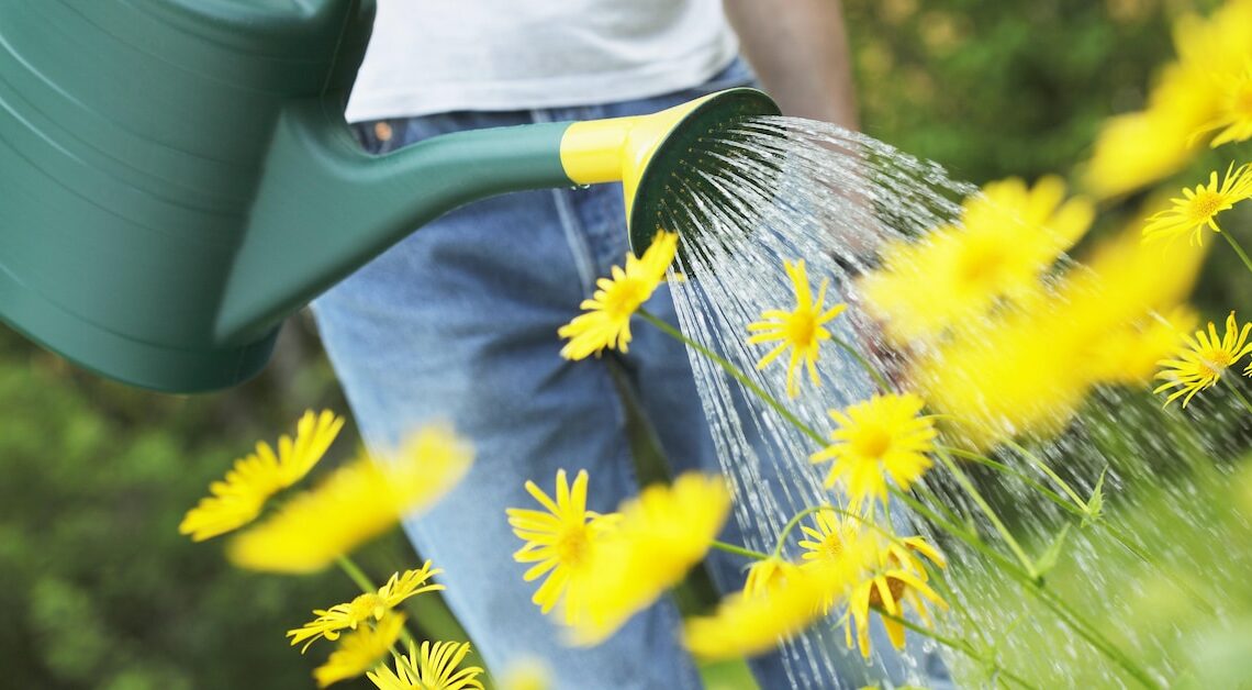 Watering can principle: definition, explanation and examples of procedures