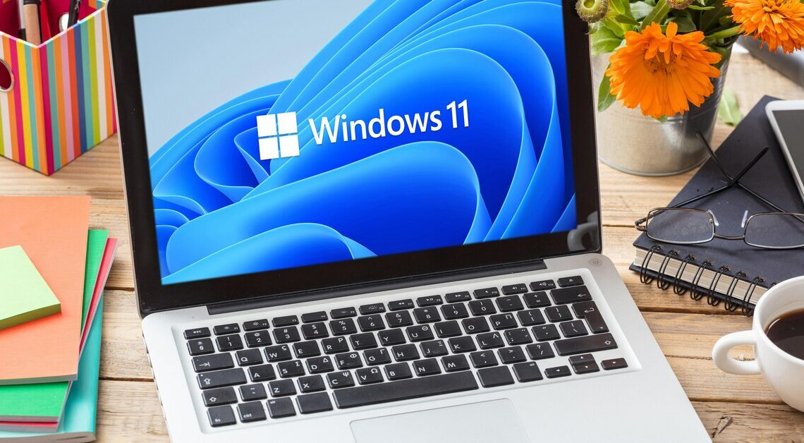 Windows 11 LTSC: What is it? All information about the operating system